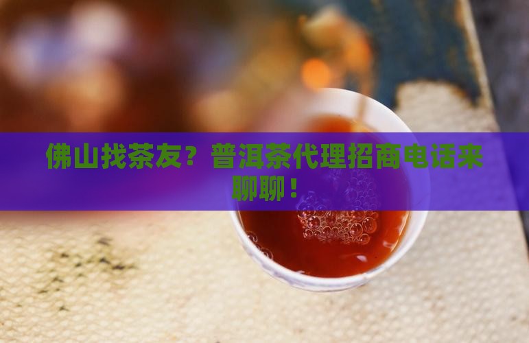 佛山普洱茶代理招商电话