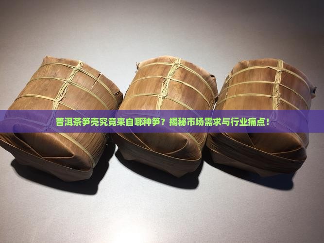 普洱茶笋壳是什么笋