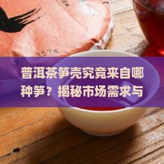普洱茶笋壳是什么笋