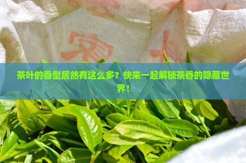 茶叶的香型有哪些
