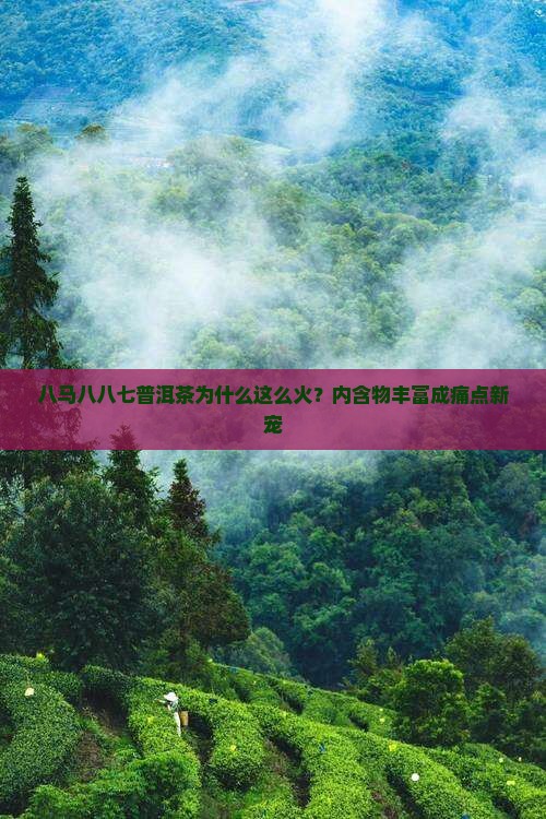 八马八八七普洱茶的特点