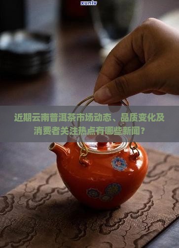 云南普洱茶最近有什么新闻