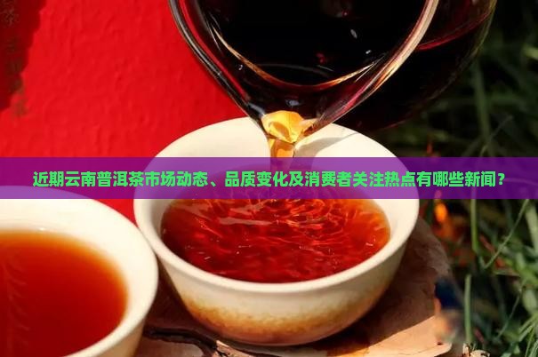 云南普洱茶最近有什么新闻