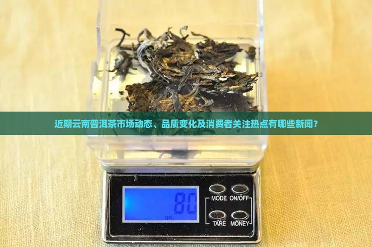 云南普洱茶最近有什么新闻