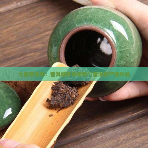 大益普洱茶在哪里抢的