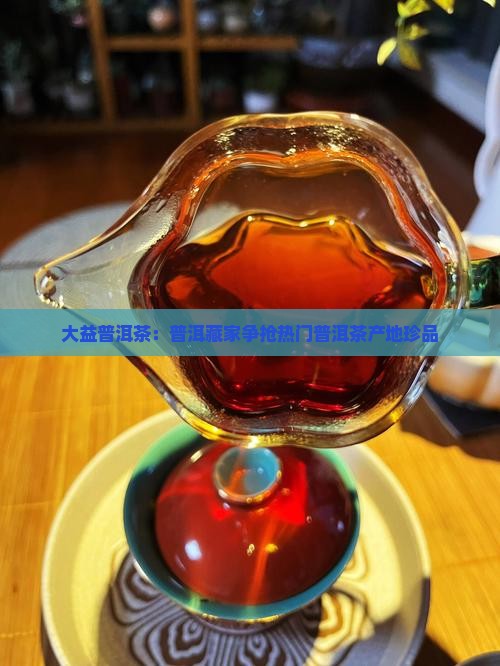 大益普洱茶在哪里抢的