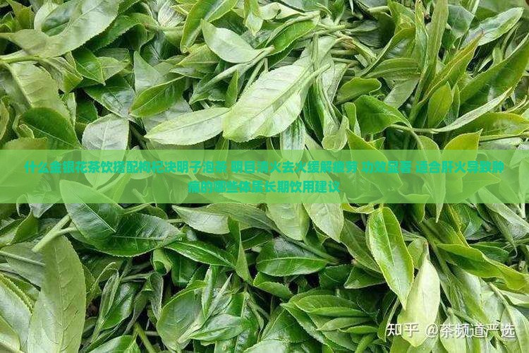什么泡茶明目清火
