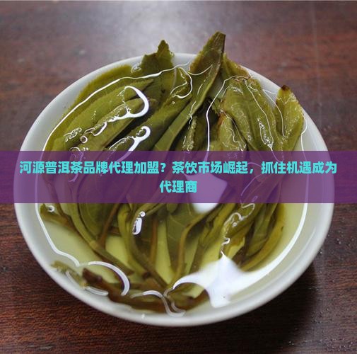 河源普洱茶品牌代理加盟