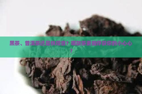 黑茶普洱茶铁观音