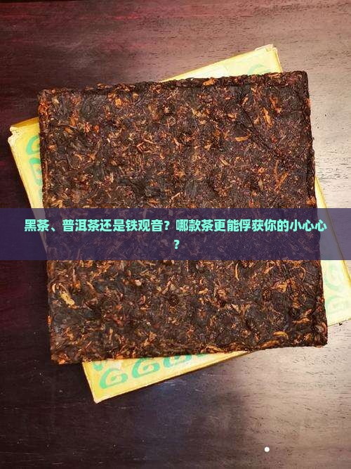 黑茶普洱茶铁观音