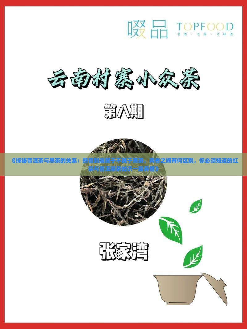 熟普属于黑茶吗