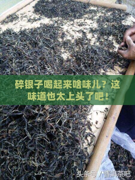 碎银子有哪些味道