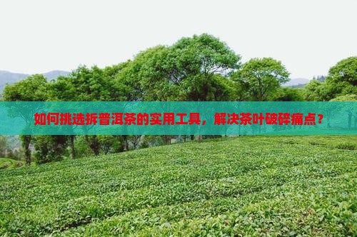 拆普洱茶有什么工具啊