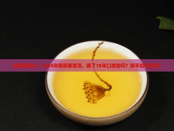 明前春2004珍藏普洱茶 明前春2004珍藏普洱茶