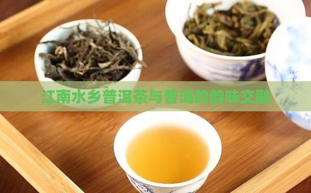 江南水乡普洱茶