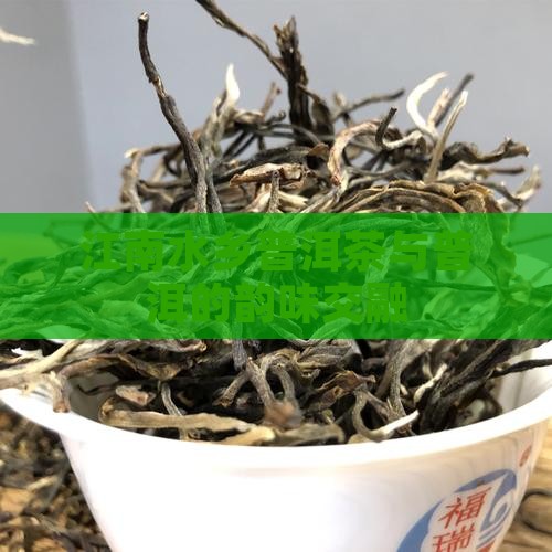 江南水乡普洱茶