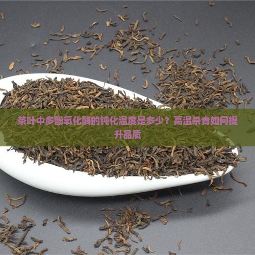 茶叶中多酚氧化酶的钝化温度