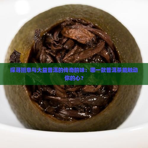 班章和大益普洱茶