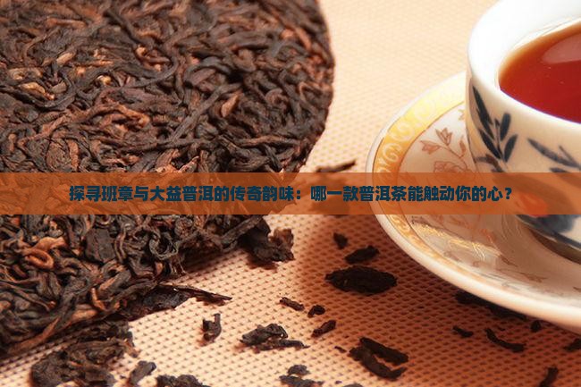 班章和大益普洱茶