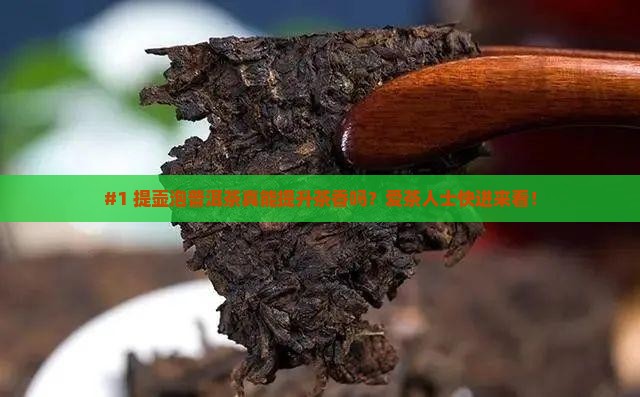 陶瓷提壶泡普洱茶好吗