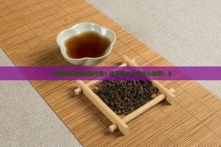 吉林普洱茶加盟代理前景