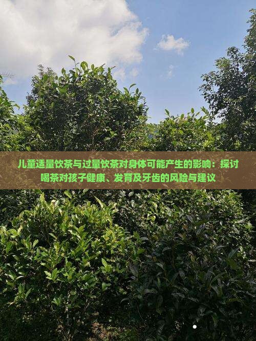 小孩子喝茶对身体有什么影响