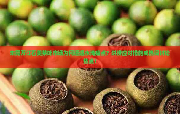 东莞万江石美茶叶市场水淹
