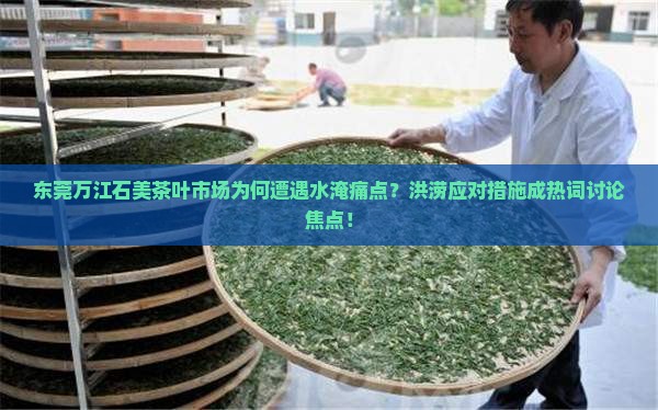 东莞万江石美茶叶市场水淹