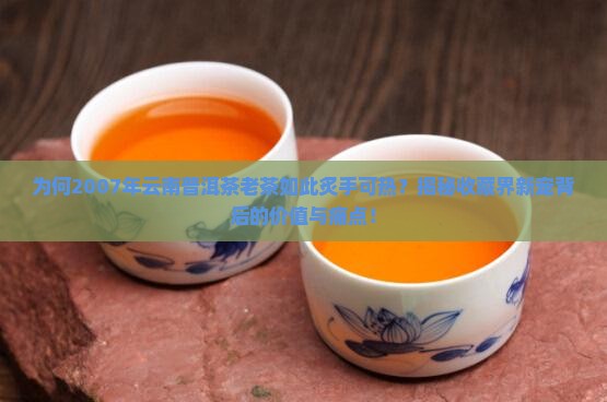 云南普洱茶老茶07年