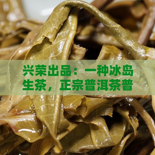 兴荣号冰岛生茶