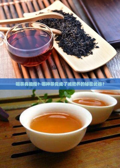 茶饼好不好减肥喝什么茶有助减肥