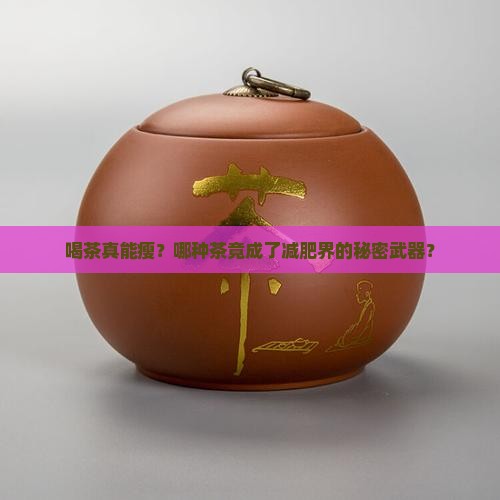 茶饼好不好减肥喝什么茶有助减肥