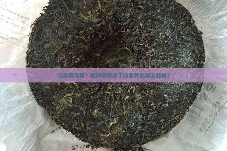 茶饼好不好减肥喝什么茶有助减肥