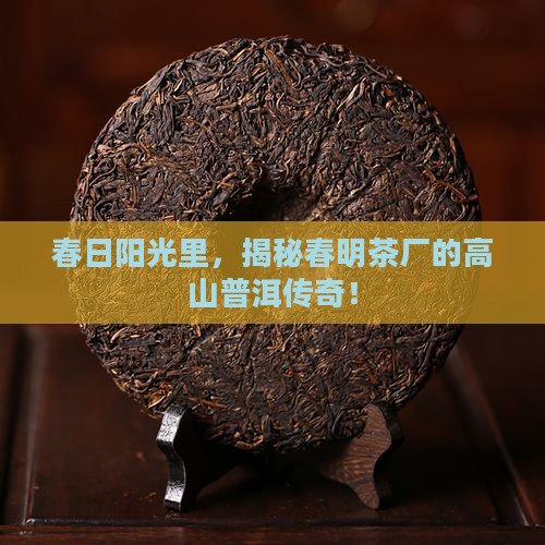 云南省春明茶厂高山普洱茶