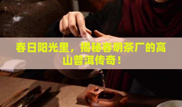 云南省春明茶厂高山普洱茶