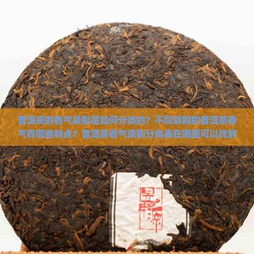 普洱茶香气级别分类表大全