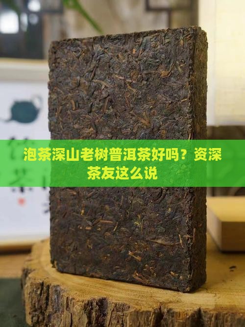 泡茶深山老树普洱茶好吗