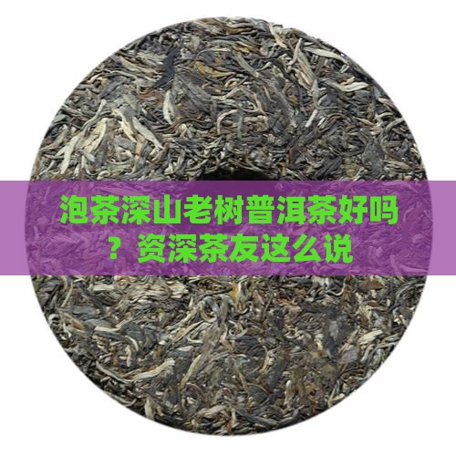 泡茶深山老树普洱茶好吗
