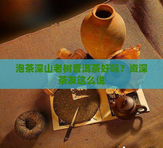 泡茶深山老树普洱茶好吗