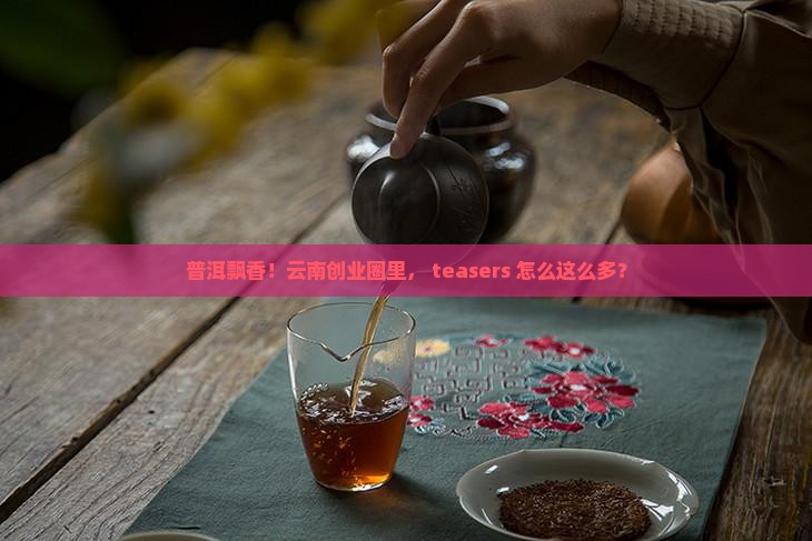 云南普洱茶创业人群多吗