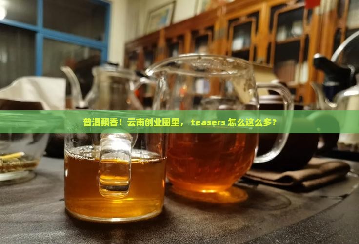 云南普洱茶创业人群多吗