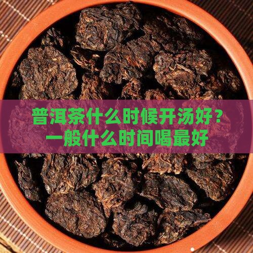 普洱茶什么时候开汤好