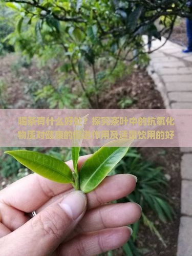 吃茶叶有好处吗