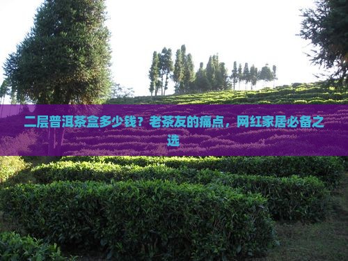 二层普洱茶盒多少钱