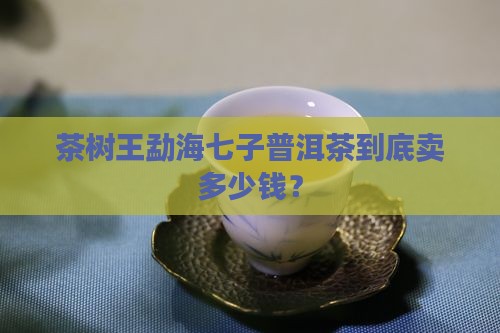 茶树王勐海七子普洱茶价格