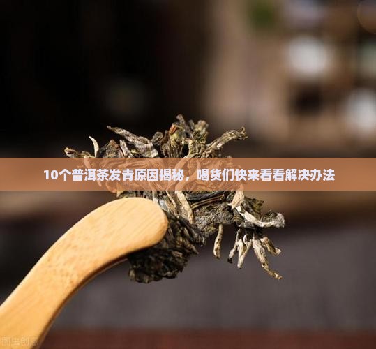 普洱茶发青怎么回事