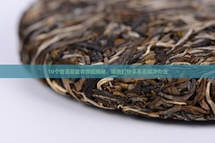 普洱茶发青怎么回事