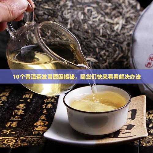 普洱茶发青怎么回事