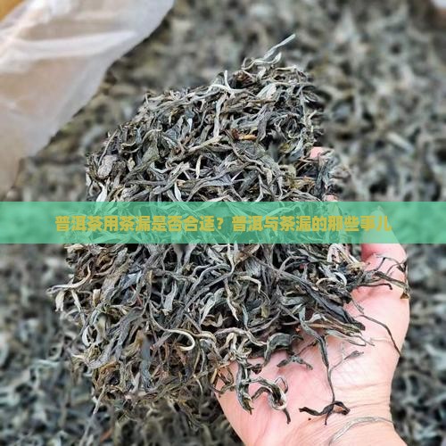 普洱茶可以用茶漏吗
