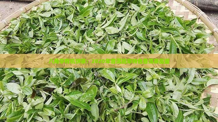 2020年八角亭有机饼茶特点